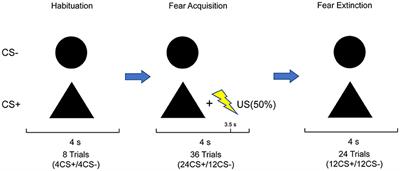 Impairment in acquisition of conditioned fear in people with depressive symptoms